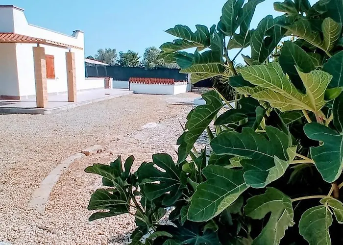 ヴィラ Viletta Li Foggi