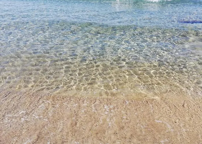 Viletta Li Foggi ガリポリ